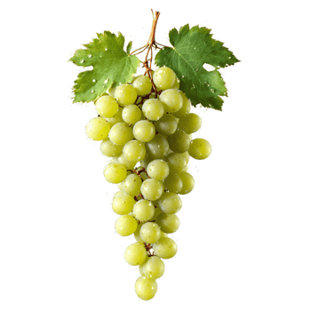 Grapes with water droplets and leaves frozen in falling motion Food and culinary concept png