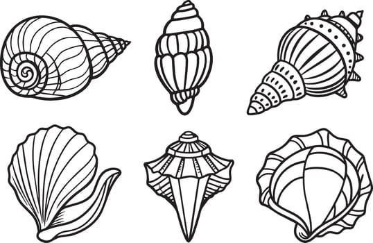 set of Seashells. Black and white illustration for coloring book. vector