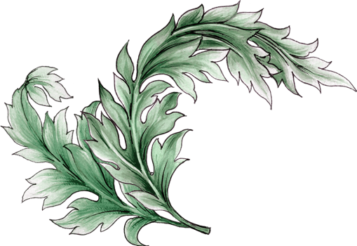 Elements motif jacobean rococo folk art png