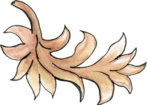 Elements motif jacobean rococo folk art png