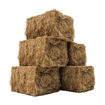 Stack of Hay on Transparent background png
