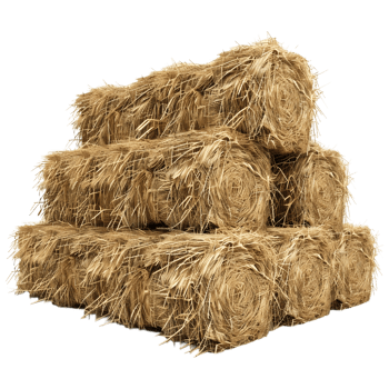 Stack of Hay on Transparent background png