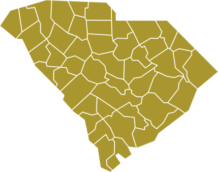 outline drawing of south carolina state map. png