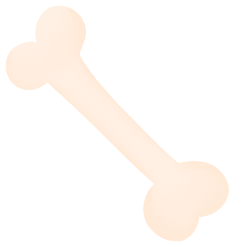 a wooden toy dog bone png