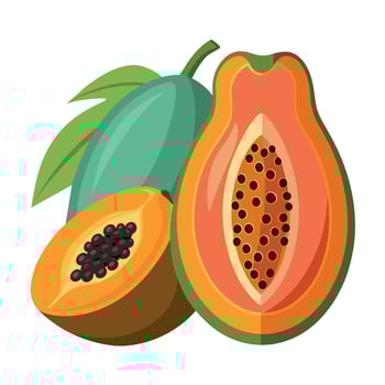 papaya Fruit flat style illustration vector