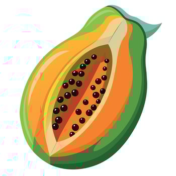papaya Fruit flat style illustration vector