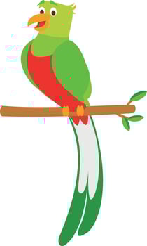 Cute cartoon quetzal illustration vector