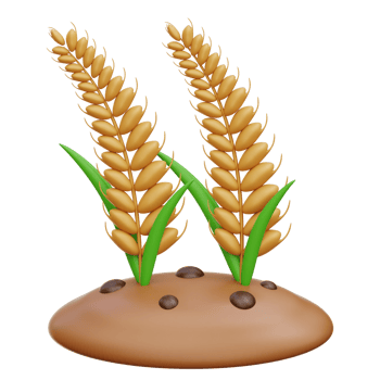 Wheat Farming 3d Illustration png