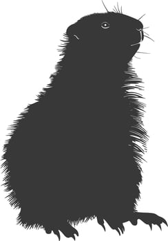 Silhouette marmot animal black color only full body vector