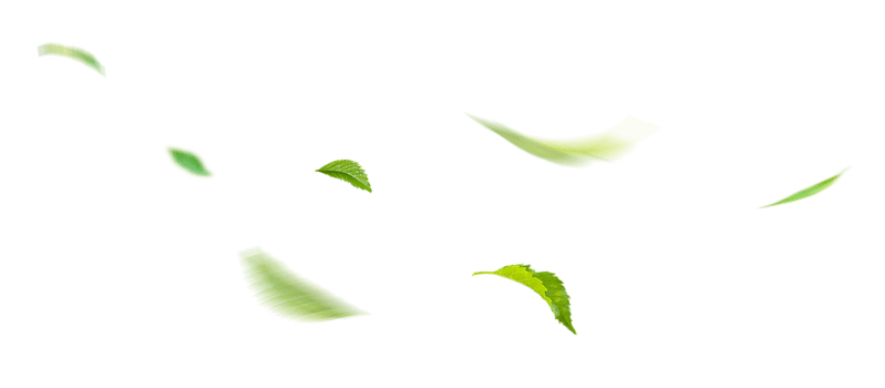Green Floating Leaves Flying Leaves Green Leaf Dancing, png