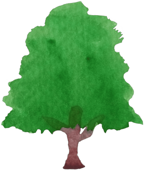 Watercolor tree isolated on white. Tree plant stroke watercolor hand drawn painting on rough texture paper. Design for App, Banner, Packaging, Website, Social Media, Covers Element illustration png