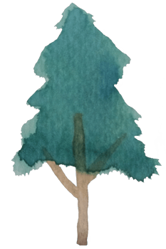Watercolor tree isolated on white. Tree plant stroke watercolor hand drawn painting on rough texture paper. Design for App, Banner, Packaging, Website, Social Media, Covers Element illustration png