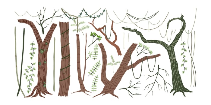 Set of jungle trees, vines and twigs. Rain forest, wild nature. illustration in flat style. vector