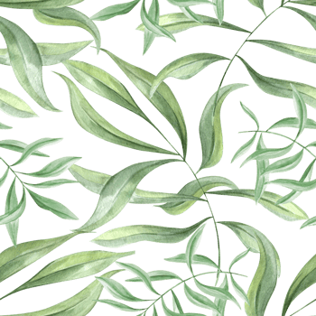 Tropical leaf ornate. Seamless pattern of olive leaves. Green oleander branches. Ivy realistic foliage. Watercolor illustration. Floral greenery design for package, textile, fabric png