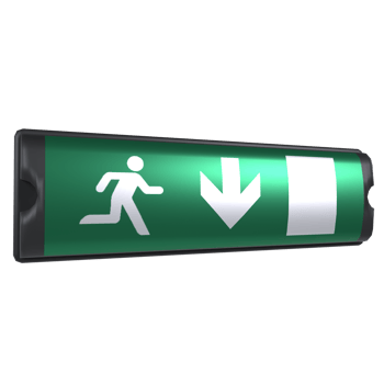 Emergency Exit isolated on transparent background png