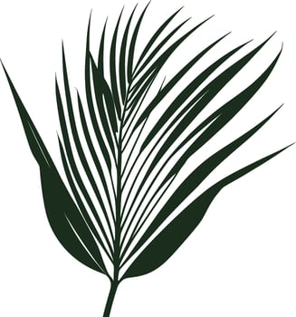 Silhouette Tropical exotic leaves. Calathea, Monstera and palm leaves. black and white illustration. vector