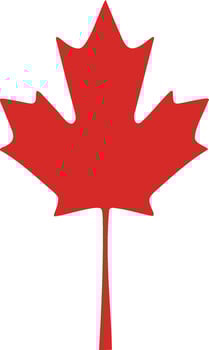 Maple leaf icon. Maple leaf illustration. Canada symbol maple leaf clip art. Red maple leaf. vector