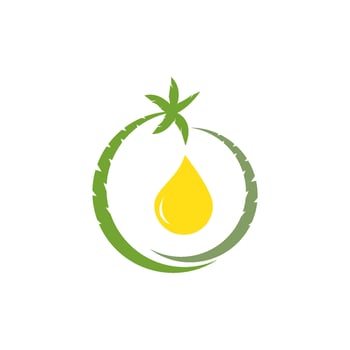 oil palm design vector