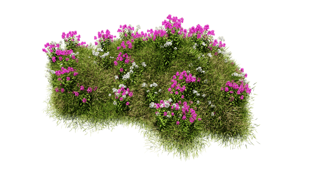 3D render various types of flowers grass bushes shrub and small plants on transparent background png