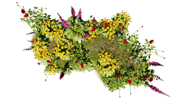 Top view of 3D render various types of flowers grass bushes shrub and small plants on transparent background png