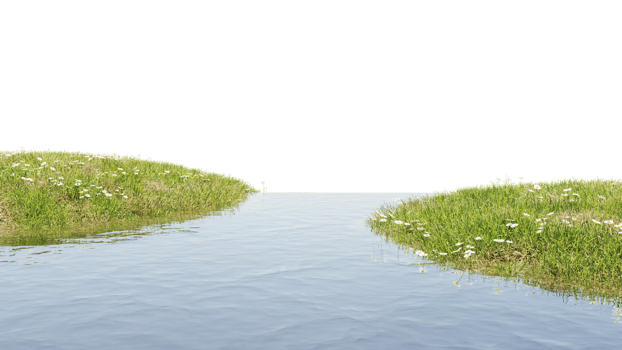 3D render of Stream and grass flower plants on transparent background png