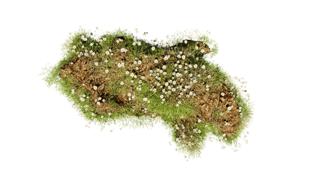 Top view of 3D render various types of flowers grass bushes shrub and small plants on transparent background png