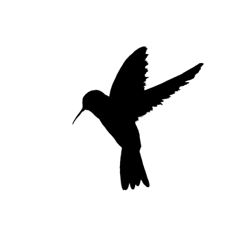 Flying bird silhouette png