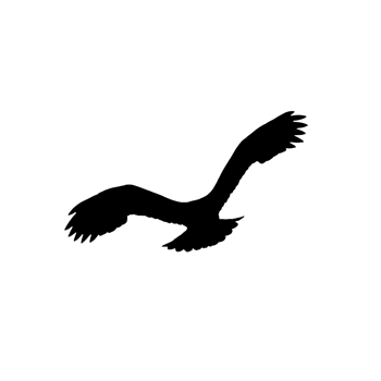 Flying bird silhouette png