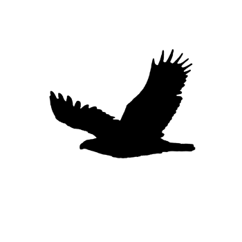 Flying bird silhouette png