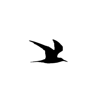 Flying bird silhouette png