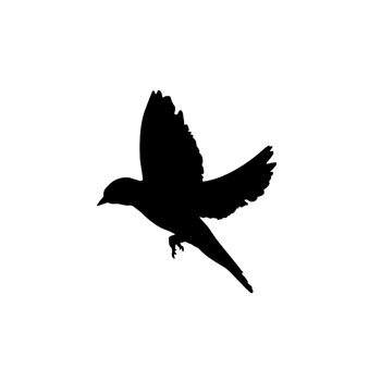 Flying bird silhouette png