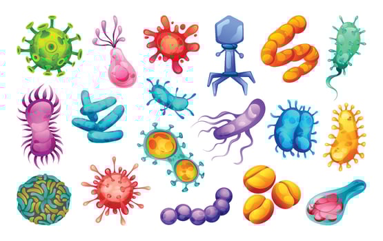 Set of bacteria, viruses and germs. Microscopic cell illness, bacterium and microorganism. Illustration vector