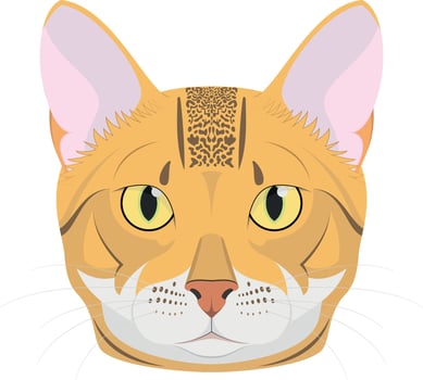 Bengal cat isolated on white background illustration vector