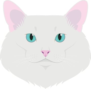 Turkish Angora cat isolated on white background illustration vector