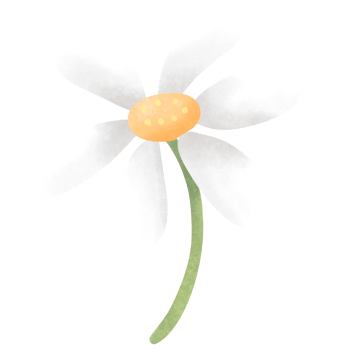 flowering plants, blooming flowers png