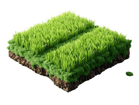 3d illustration of two rows of rice fields png