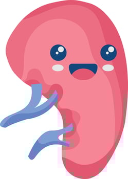 Cute Human Internal Organs Character. Smile Organs Cartoon on White Background vector