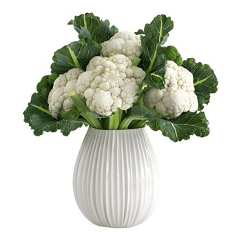 3D Rendering of a Cauliflower in a Pot on Transparent Background png