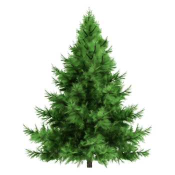3D Rendering of a Green Tree on Transparent Background png