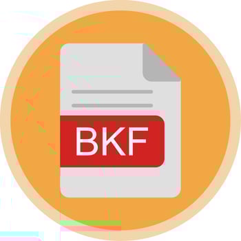 BKF File Format Flat Multi Circle Icon vector