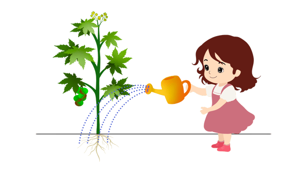 Young girl watering plants, Cute funny young woman with watering can taking care, Happy woman watering plants in garden, Watering can on the garden, eco green png