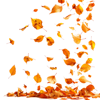 Autumn leaves flying on isolated transparent background png