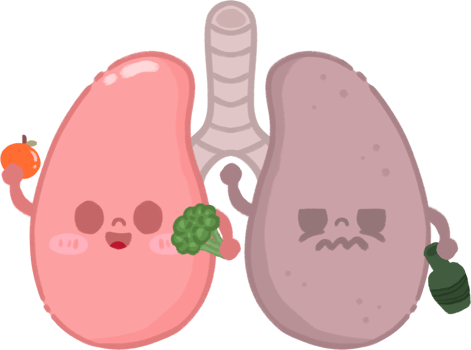 Healthy and Unhealthy Lung Character Illustration png