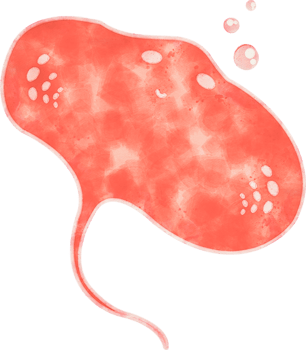 Cute Stingray Fish cartoon watercolor illustration png