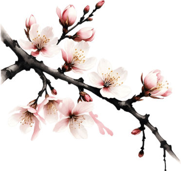 Cherry blossom branch with several soft, detailed flowers. AI-Generated. png