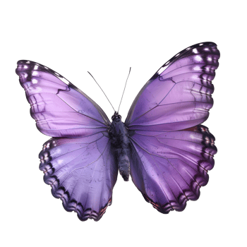 Purple butterfly isolated on transparent background png