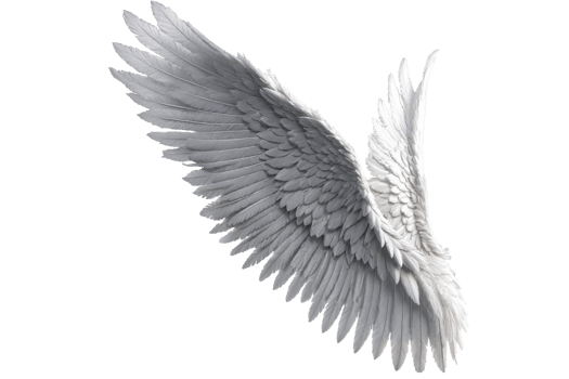 photorealistic angel wings png