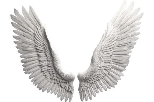 photorealistic angel wings png