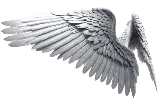photorealistic angel wings png