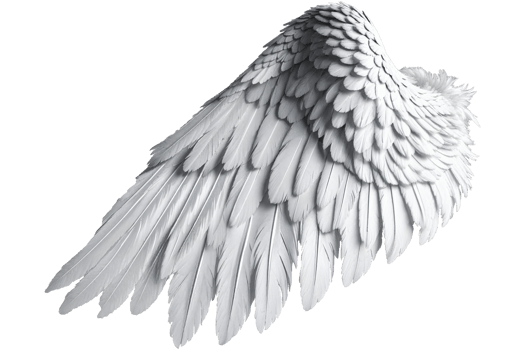 photorealistic angel wings png